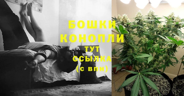 MDMA Белокуриха