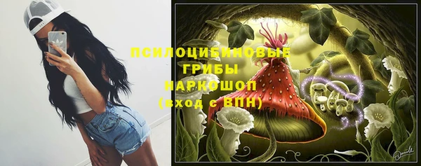 MDMA Белокуриха