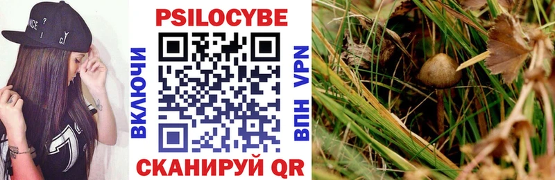 Псилоцибиновые грибы ЛСД  купить наркотики цена  Олёкминск 